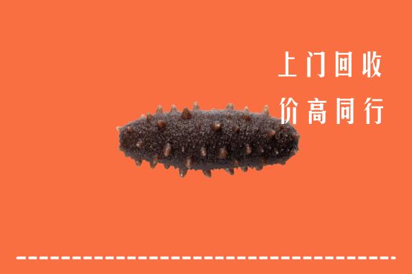 高价求购：昆明市安宁市回收海参