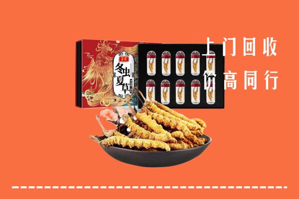 昆明市安宁市回收虫草
